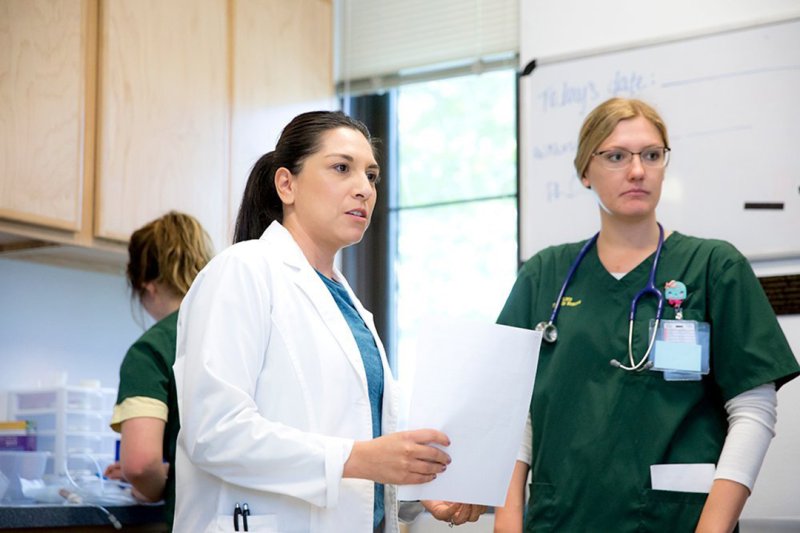 What is the Difference Between a Ph.D. and a DNP in Nursing? PLNU